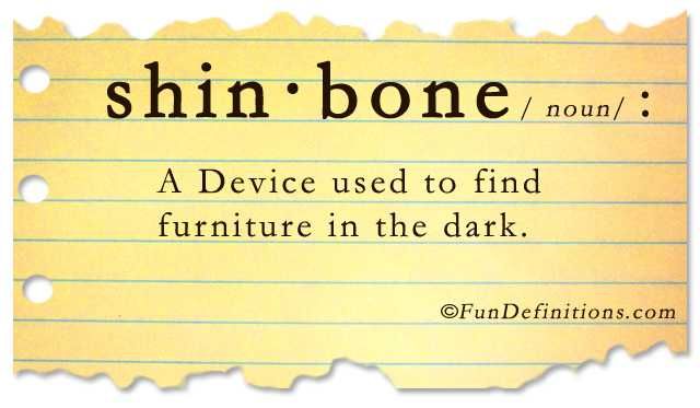 Snarky Funny Quotes Shin Bone