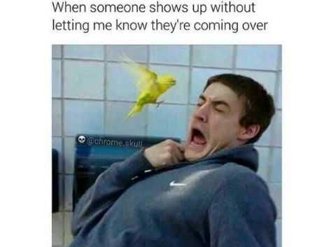 Funny Show Up