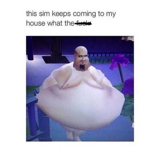 Funny Sim Household
