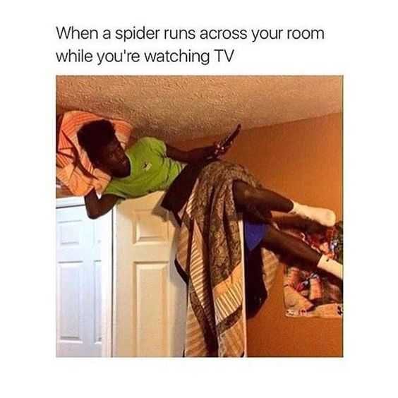 Hilarious And Funny Memes  Just Gotta Adapt
