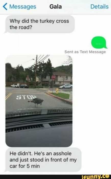 Hilarious Funny Images Turkey