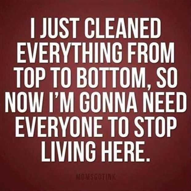 Snappy Quote  Cleaning