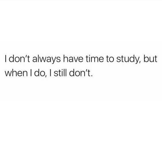 Funny Study Time