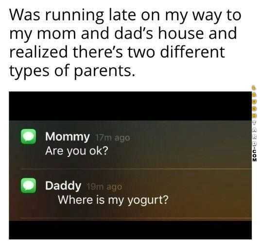Hilarious Funny Images Difference Between Moms And Dads