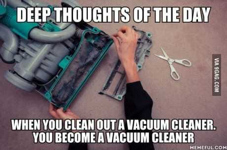 24 Funny Pictures About Spring Cleaning Deep Thoughts Of The Day