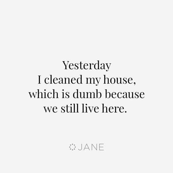 24 Funny Pictures About Spring Cleaning Yesterday