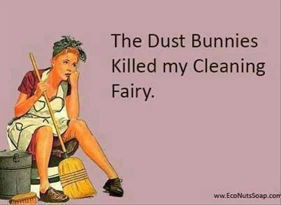 24 Funny Pictures About Spring Cleaning Dust Bunnies