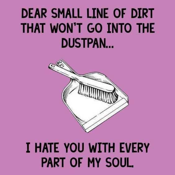 24 Funny Pictures About Spring Cleaning Dear Small Line Of Dirt