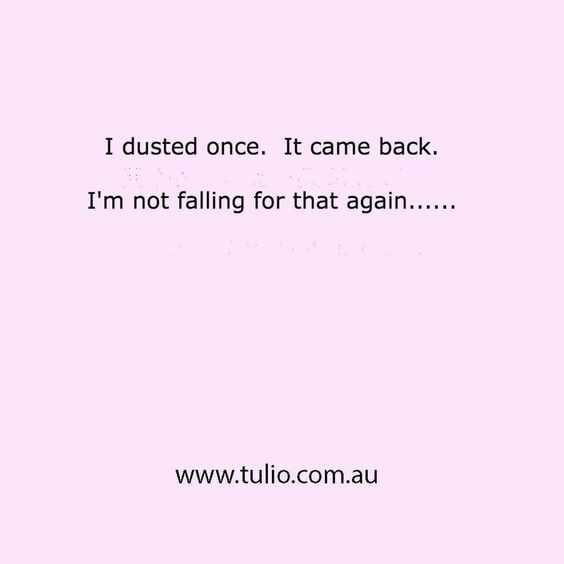 24 Funny Pictures About Spring Cleaning Falling For Dust Trick