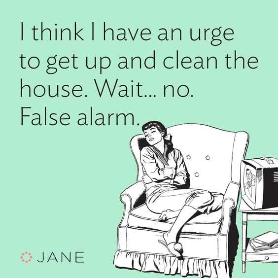 24 Funny Pictures About Spring Cleaning False Alarm