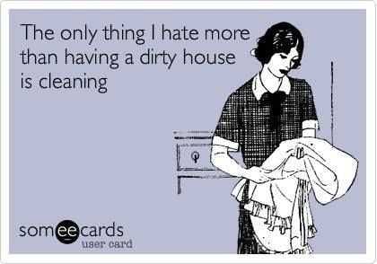 24 Funny Pictures About Spring Cleaning Dirty House