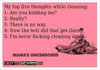 24 Funny Pictures About Spring Cleaning Thoughts While Cleaning
