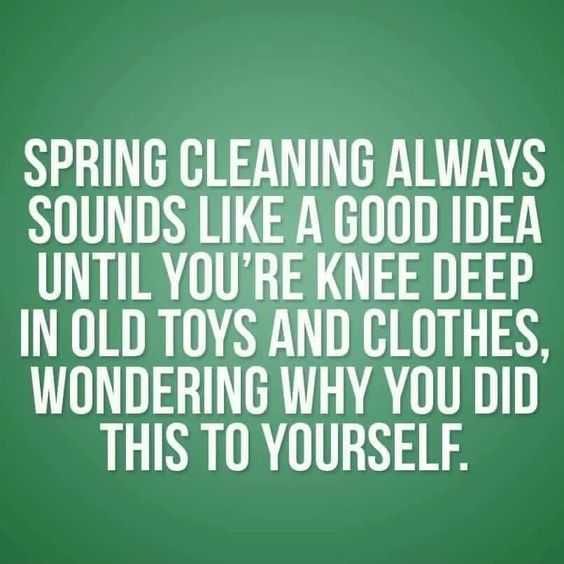 24 Funny Pictures About Spring Cleaning Spring Cleaning Realizations