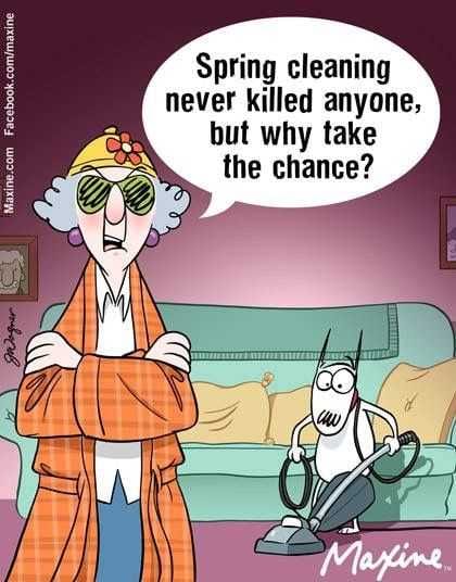 24 Funny Pictures About Spring Cleaning Don't Risk It