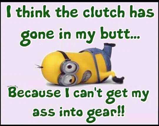 Funny Minion Pictures With Sayings Clutch In Butt