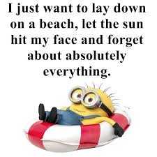 Minion Lay Down Florida