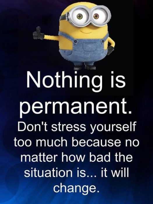 Funny Minion Pictures With Sayings Permanent