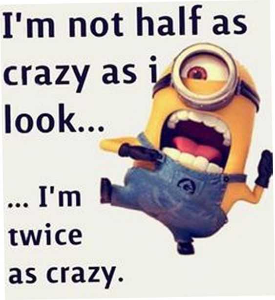 Funny Minion Pictures With Sayings Crazy