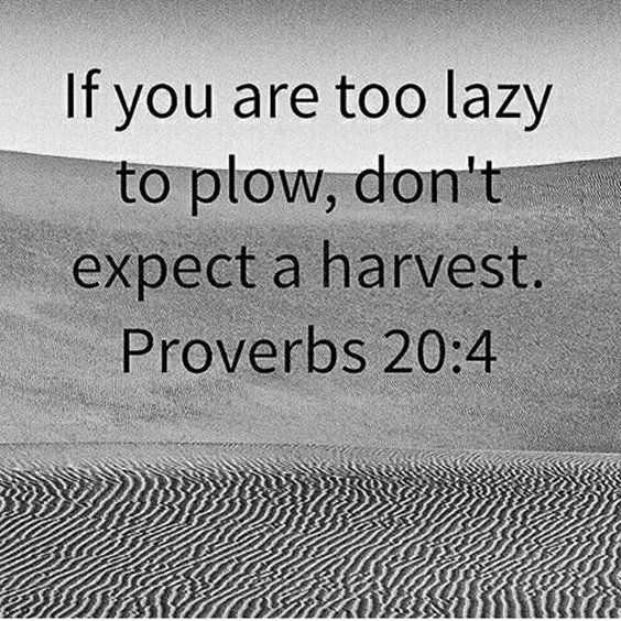 Amazing Quotes For Struggles In Life  Harvest