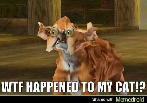Sims Cat