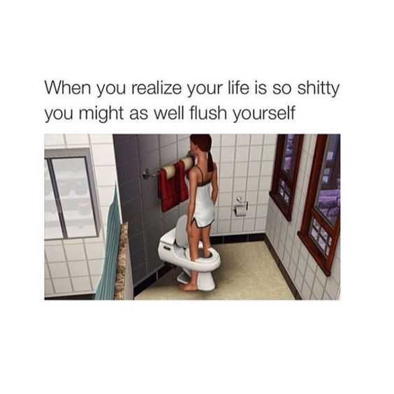 Sims Flush Yourself