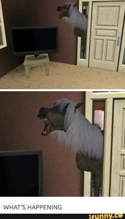 Sims Horse House