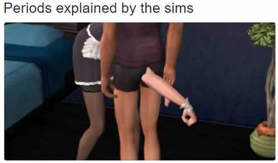 Sims Periods Punch