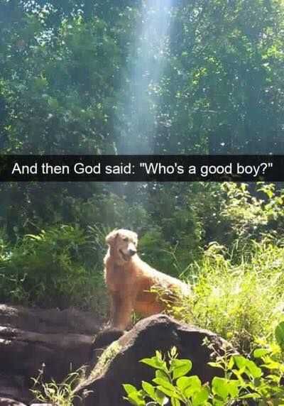Funny Snapchats God'S Beam