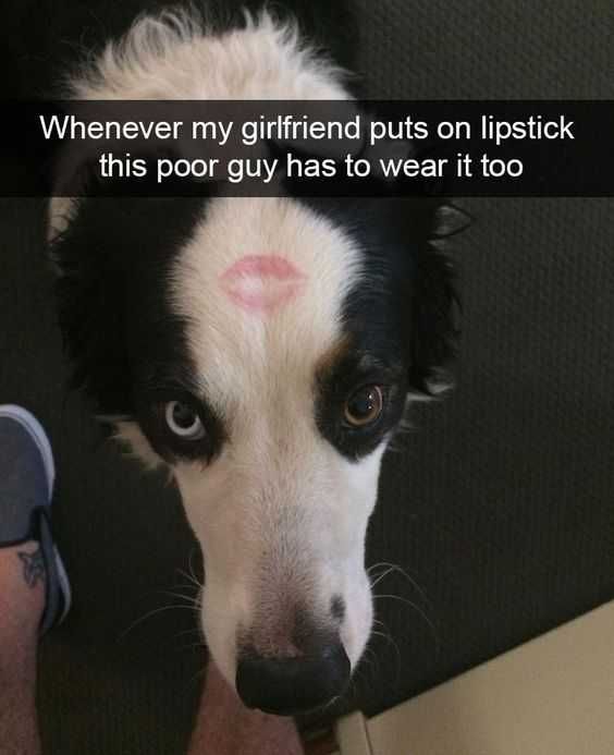 Funny Snapchats Marked
