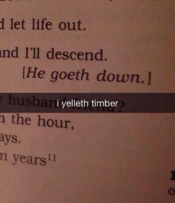 Hilarious Funny Snapchat Timber