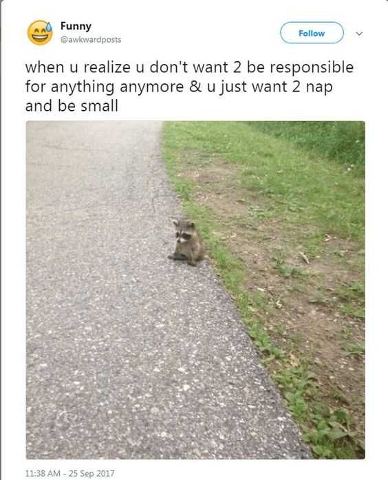 Animal Be Smal