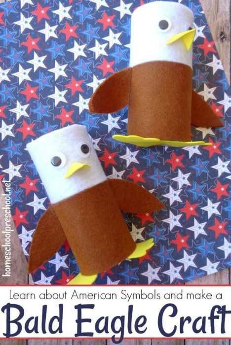 Diy Bald Eagle