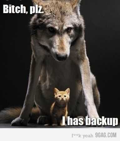 Funny Backup