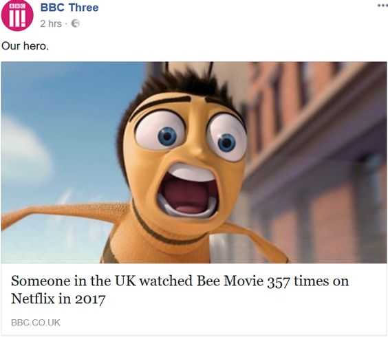 Funny Bee Movie
