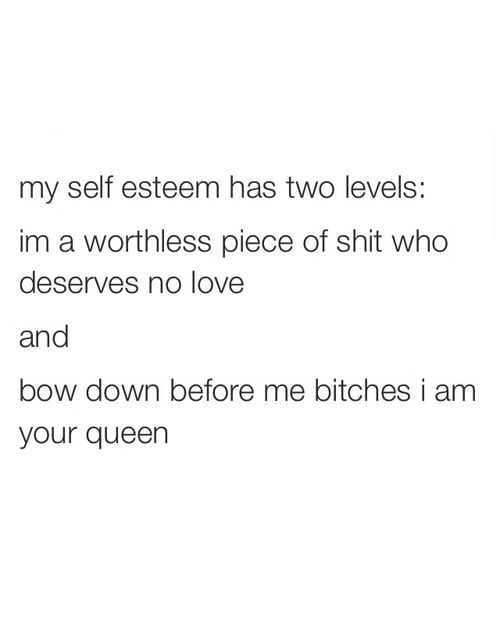 Funny Bow Down