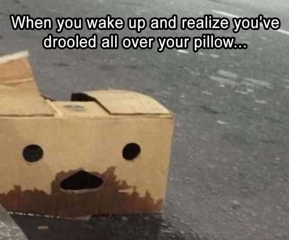 Funny Drool Pilllow