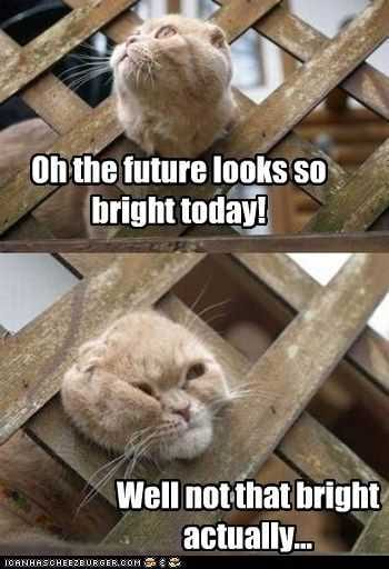 Funny Future Bright