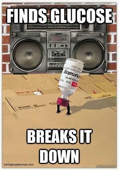 Funny Glucose Breaks Down
