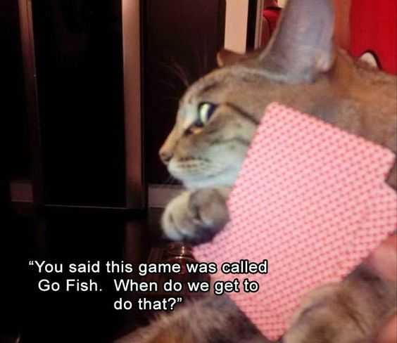 Funny Go Fish