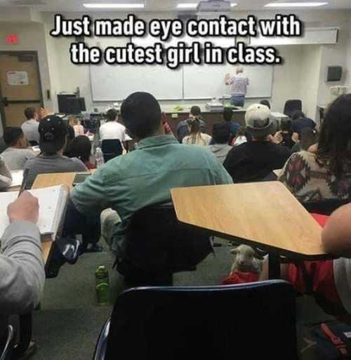 Funny Just Made Eye Contact