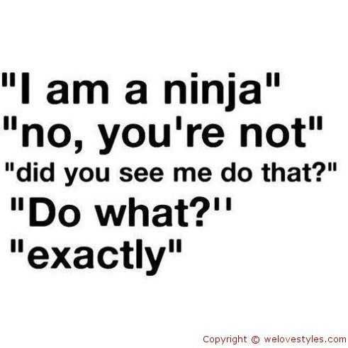 Funny Ninja