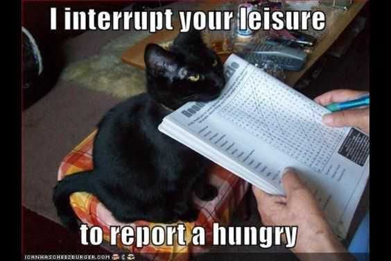 Funny Report A Hungry