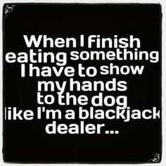 Funny Show Dog