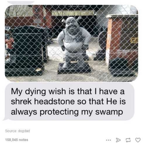Funny Shrek Stone