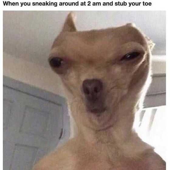 Funny Sneaking 2 Am