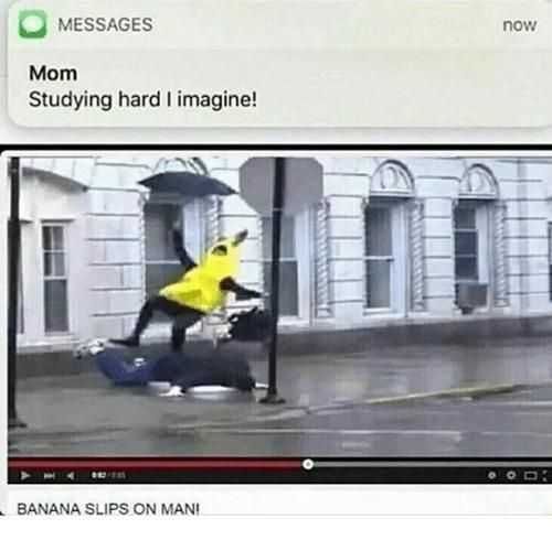 Funny Studying Hard