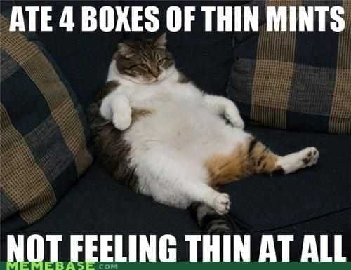 Funny Thin Mints