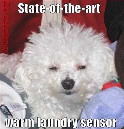 Funny Warm Laundry
