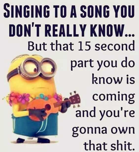 Minion 15 Second