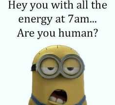 Minion 7 Am Energy